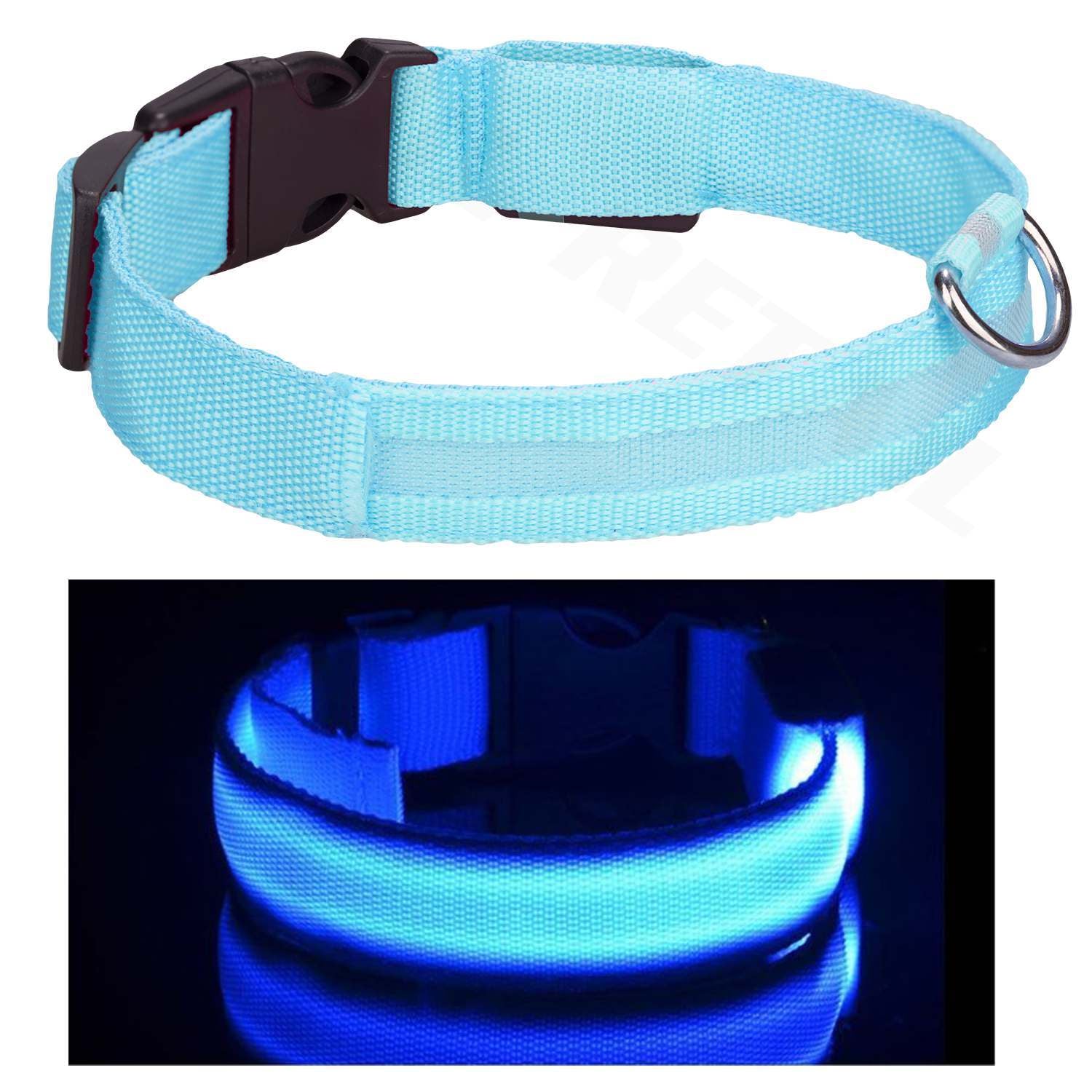 Light up LED Dog Collar