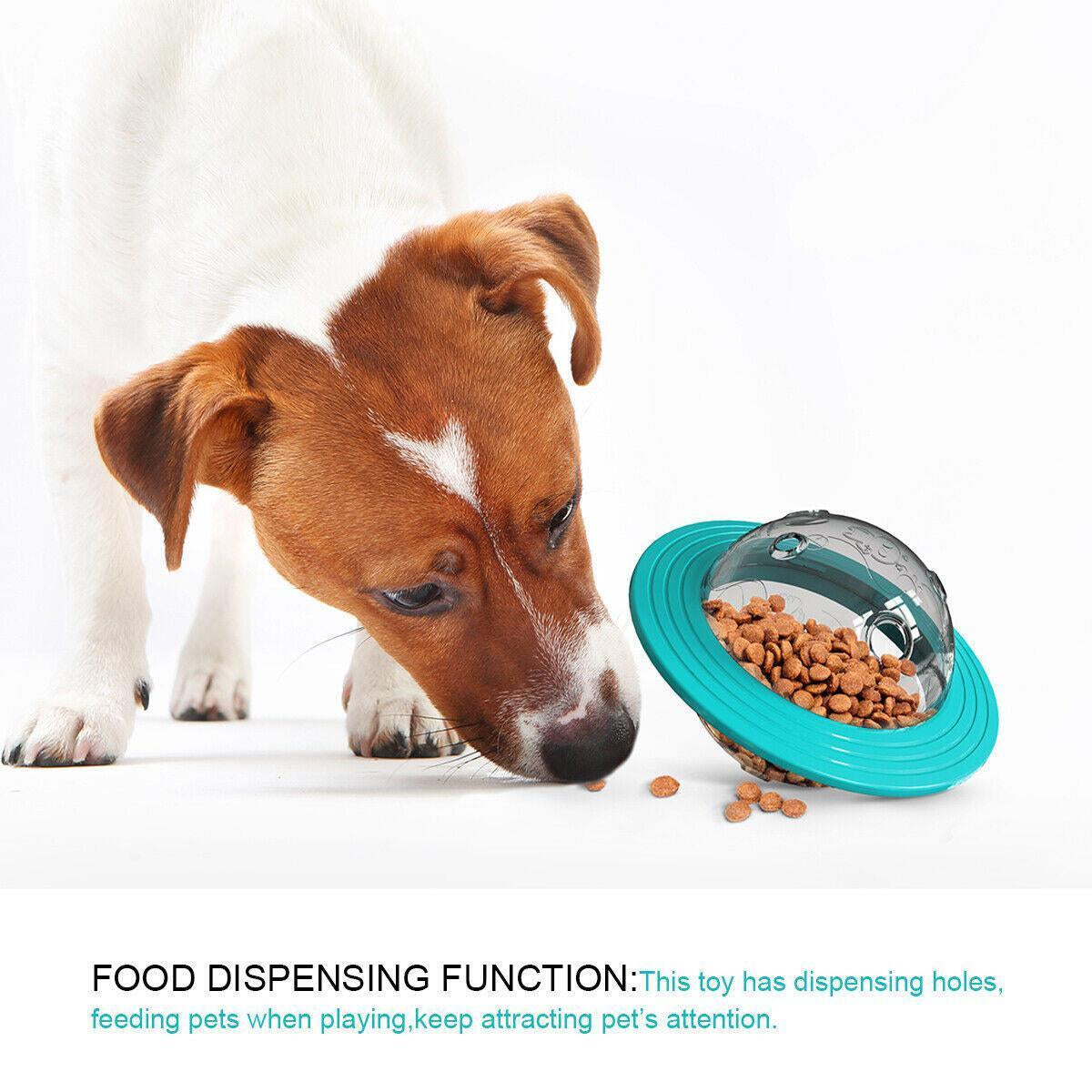 Pet Treat Dispenser 