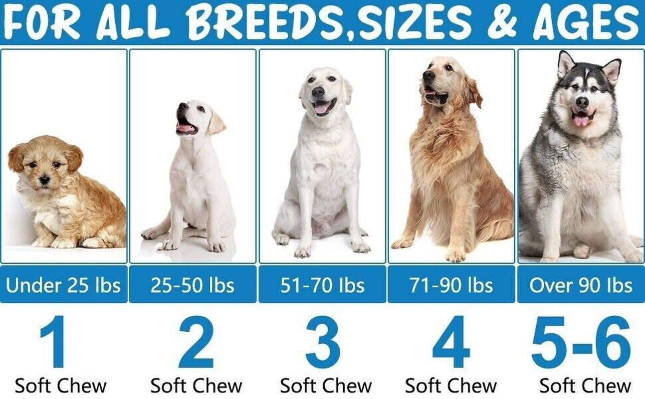 Dog Allergy Itchy Relief 
