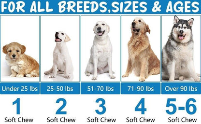 Dog Allergy Itchy Relief 