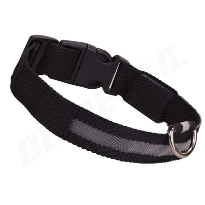 Light up LED Dog Collar