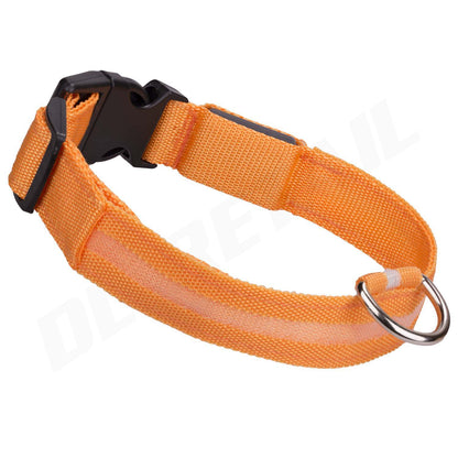 Light up LED Dog Collar