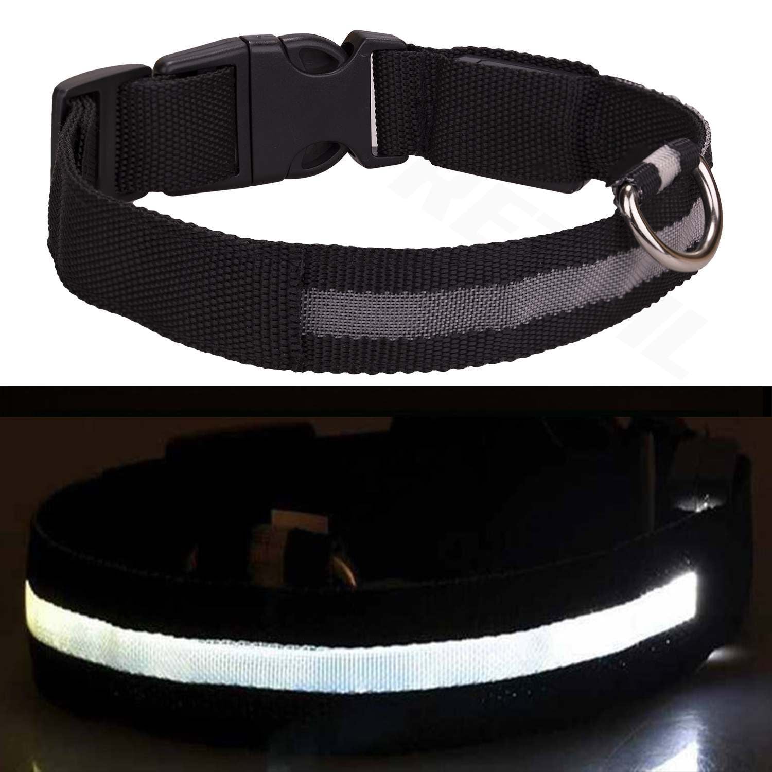 Light up LED Dog Collar
