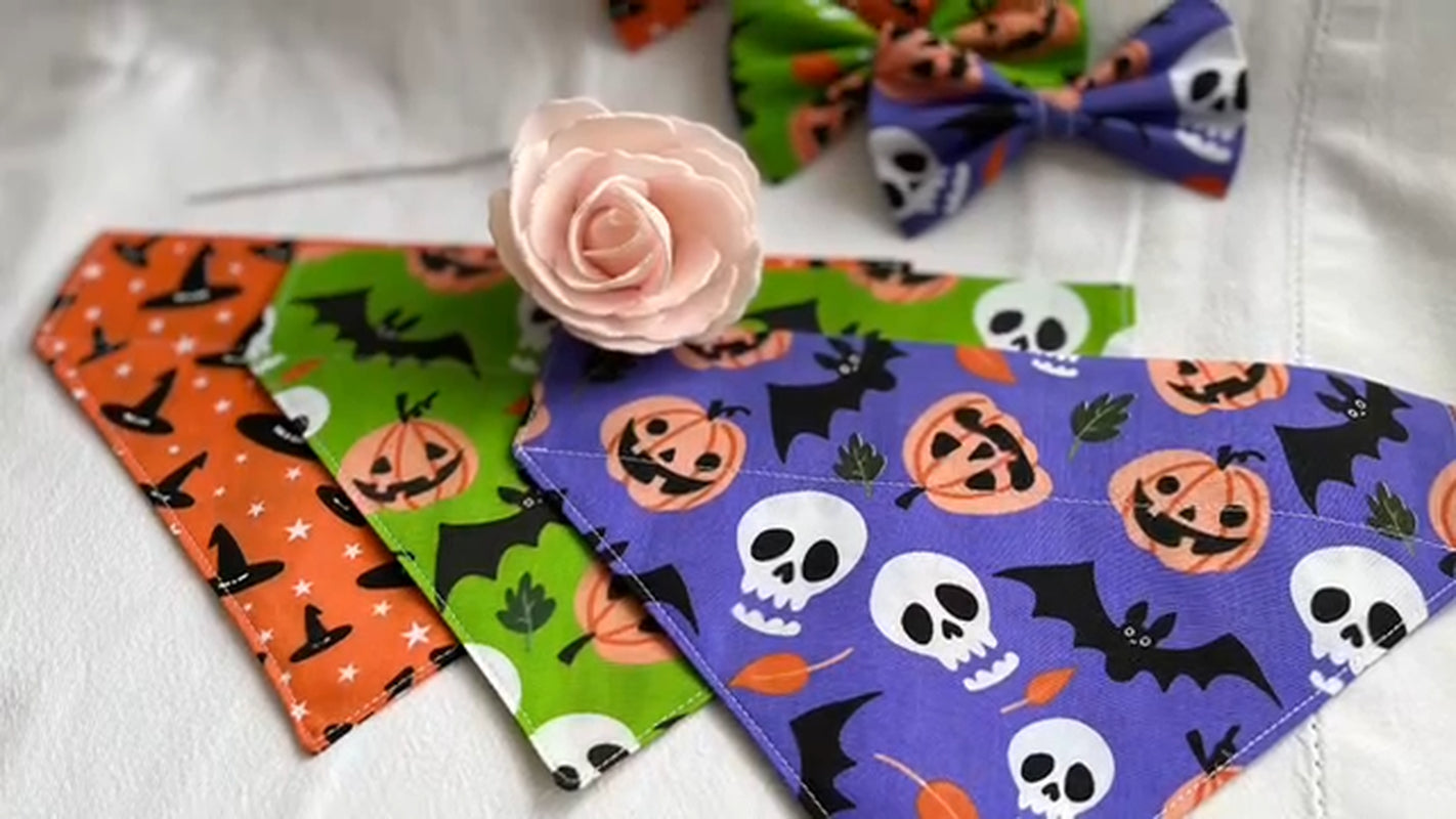 Halloween Dog Collar 