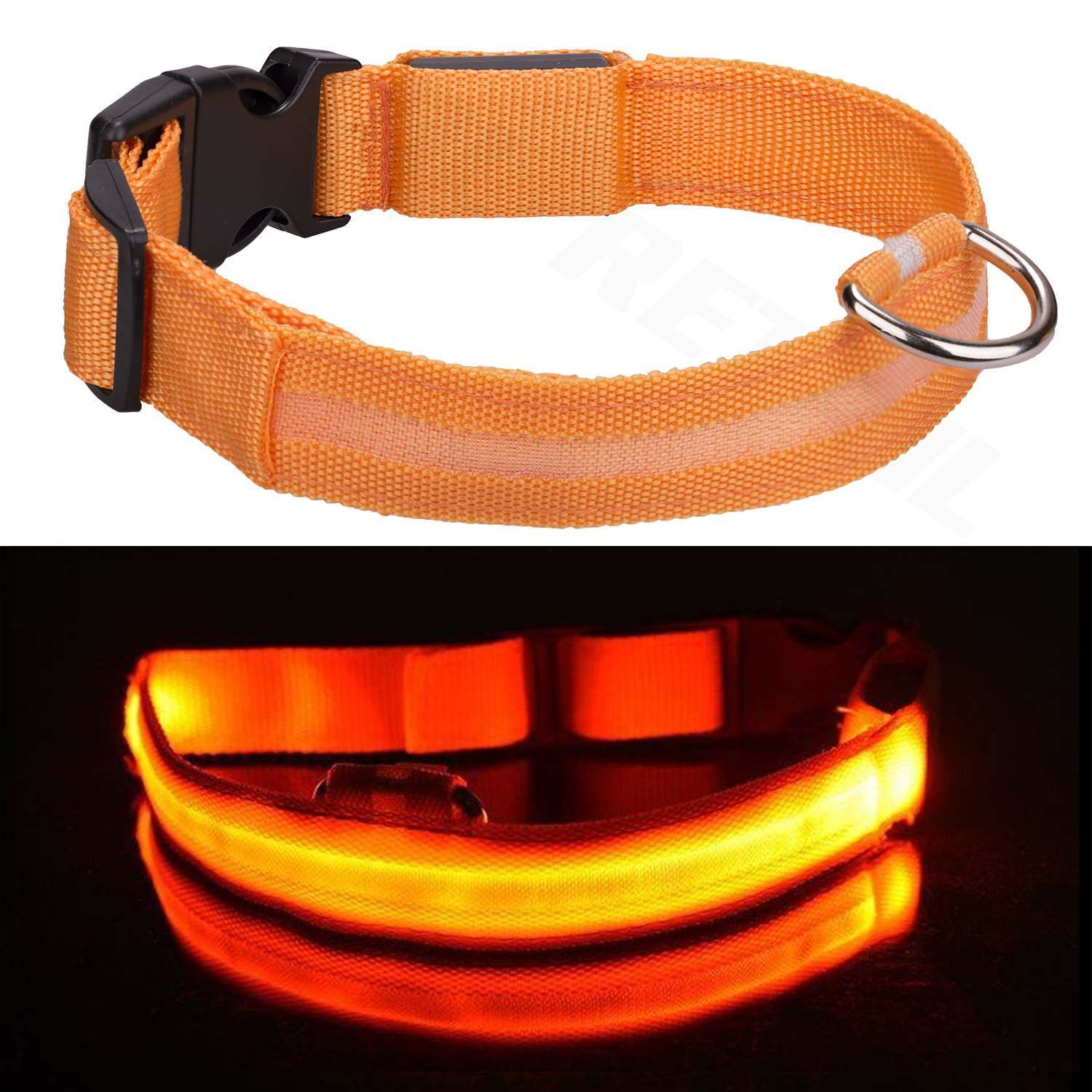 Light up LED Dog Collar