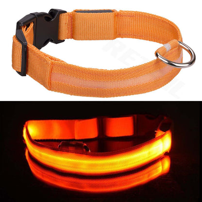 Light up LED Dog Collar