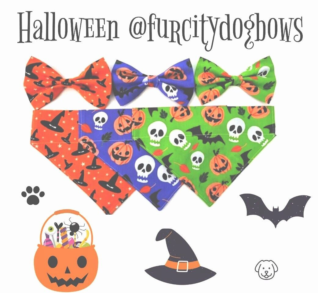 Halloween Dog Collar 