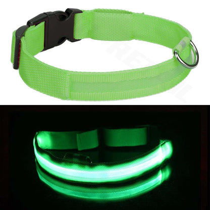 Light up LED Dog Collar