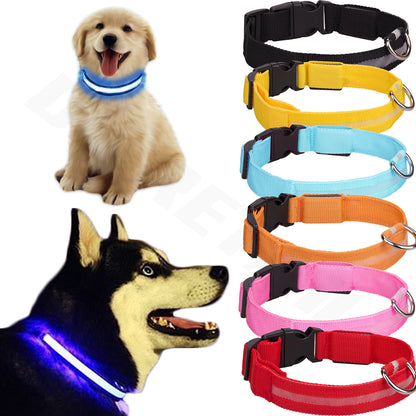 Light up LED Dog Collar