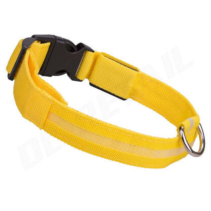 Light up LED Dog Collar