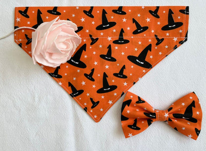 Halloween Dog Collar 