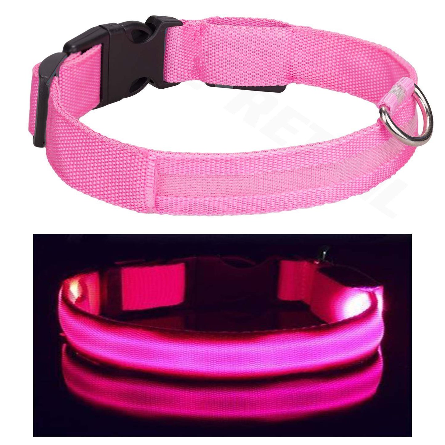 Light up LED Dog Collar