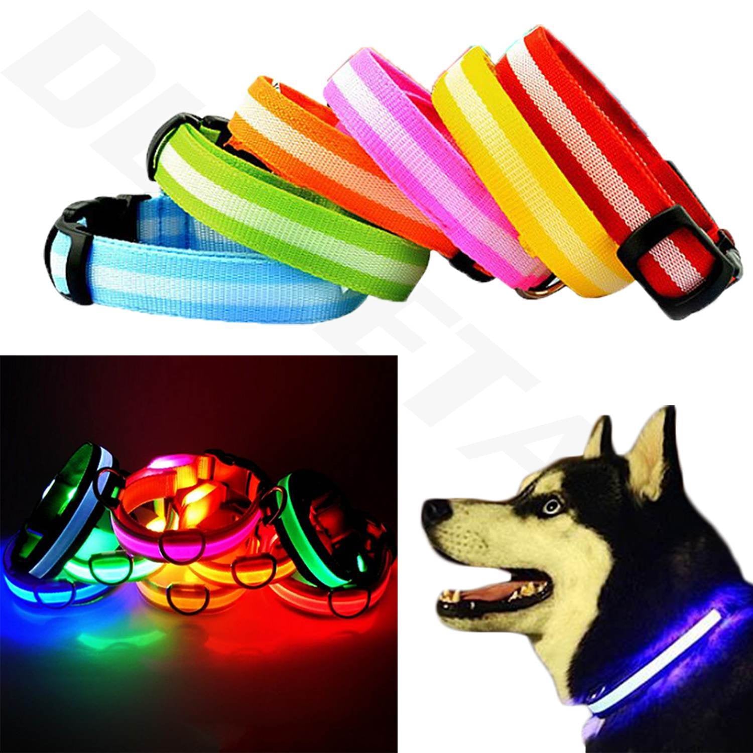 Light up LED Dog Collar