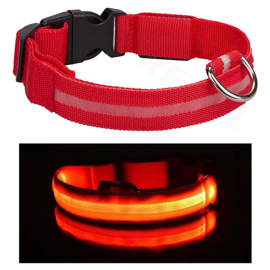 Light up LED Dog Collar