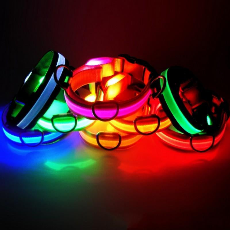 Light up LED Dog Collar
