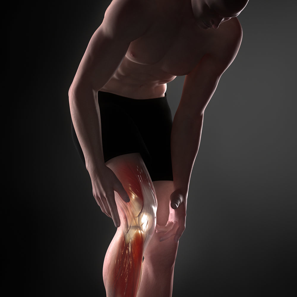 Self Heating Magnetic Knee Brace Support Pad