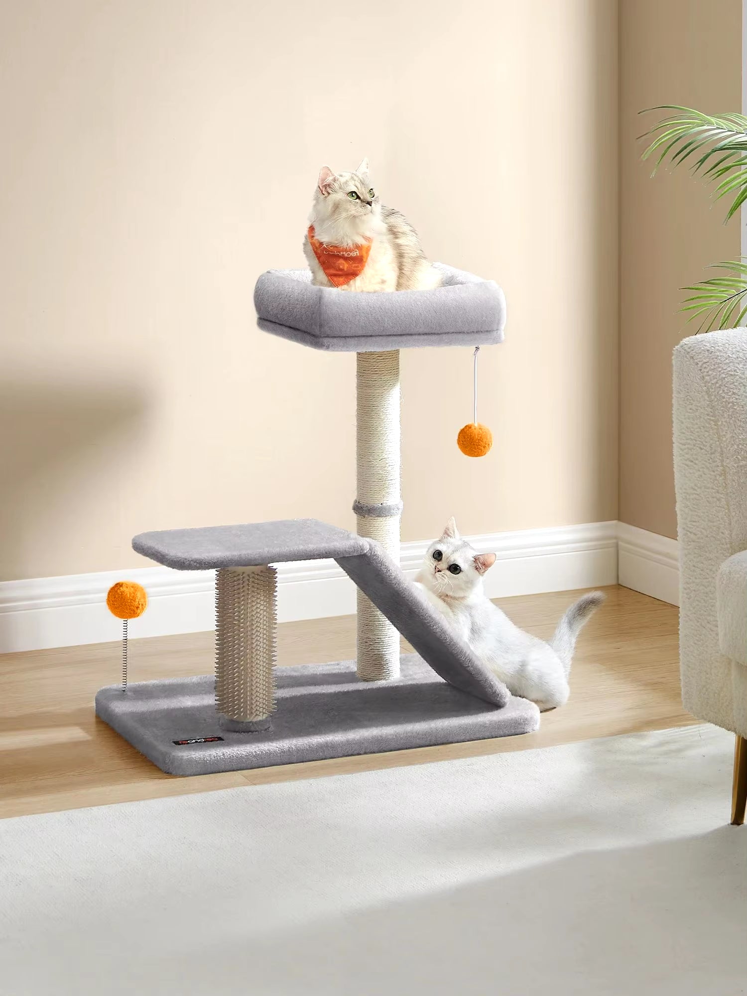 Cat Scratching Post with Bed