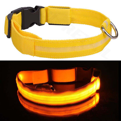 Light up LED Dog Collar