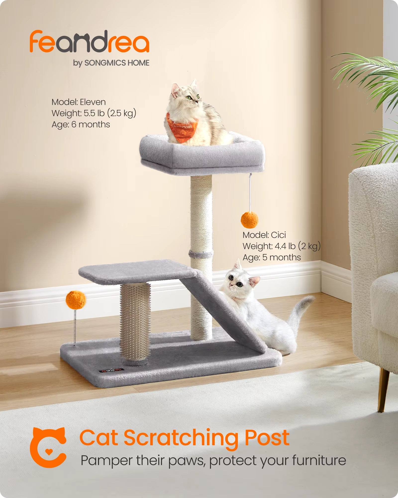 Cat Scratching Post with Bed