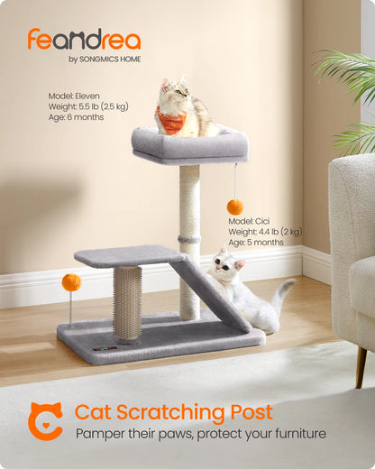 Cat Scratching Post with Bed